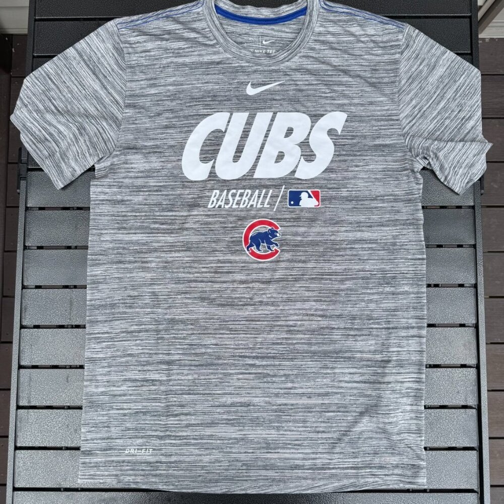 Nike Dri-FIT Gray Tee